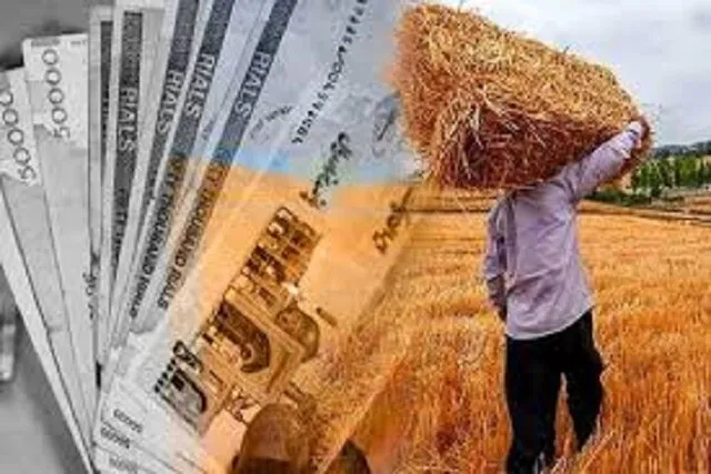 واریز یارانه کودهای پایه به حساب کشاورزان کردستان