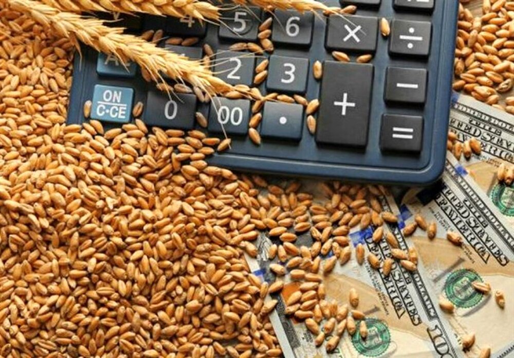تعیین قیمت گندم صنف و صنعت برای سال ۱۴۰۵