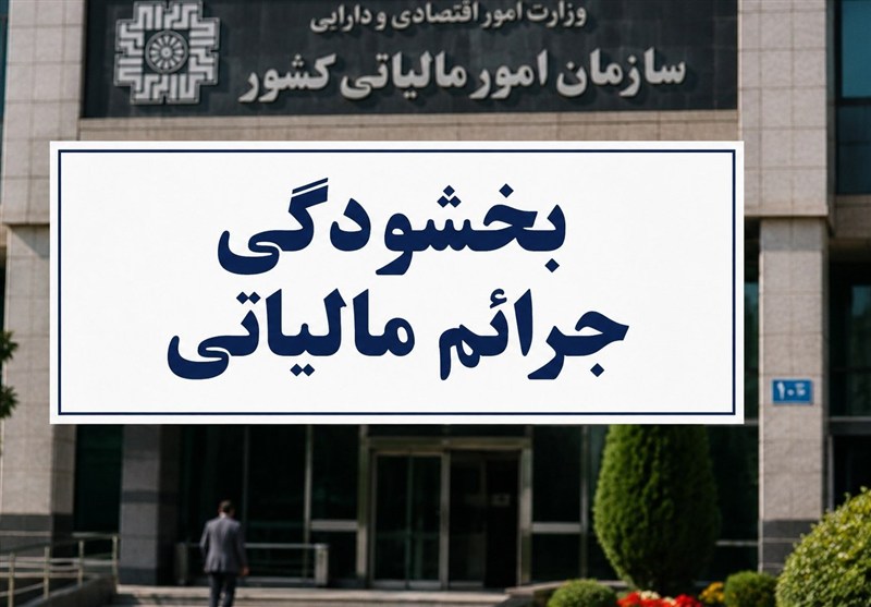 نحوه محاسبه نرخ ارز در واردات بدون انتقال ارز ابلاغ شد؛ جزئیات مالیاتی