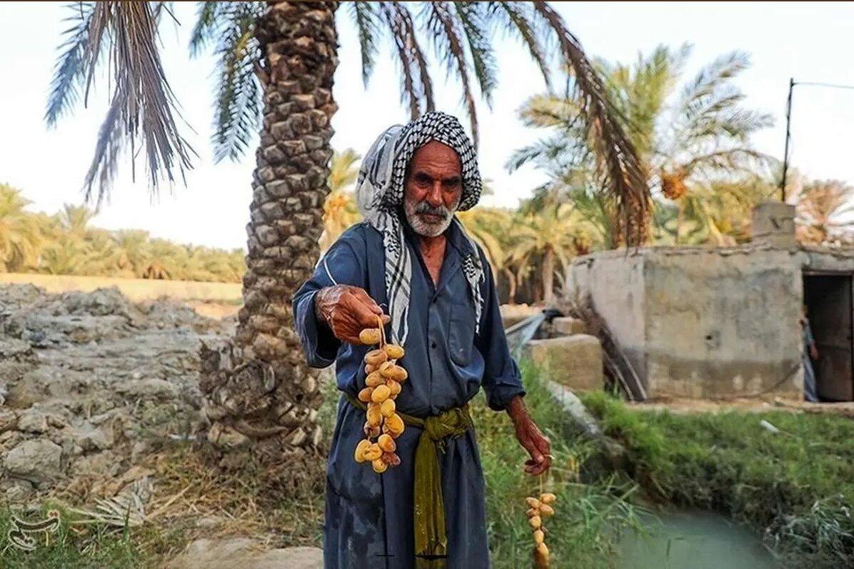 دورهمی تابستان و زمستان در ایران | تفاوت دمای شهرهای ایران در گرم‌ترین روزهای مرداد به حدود 40 درجه سانتی‌گراد می‌رسد