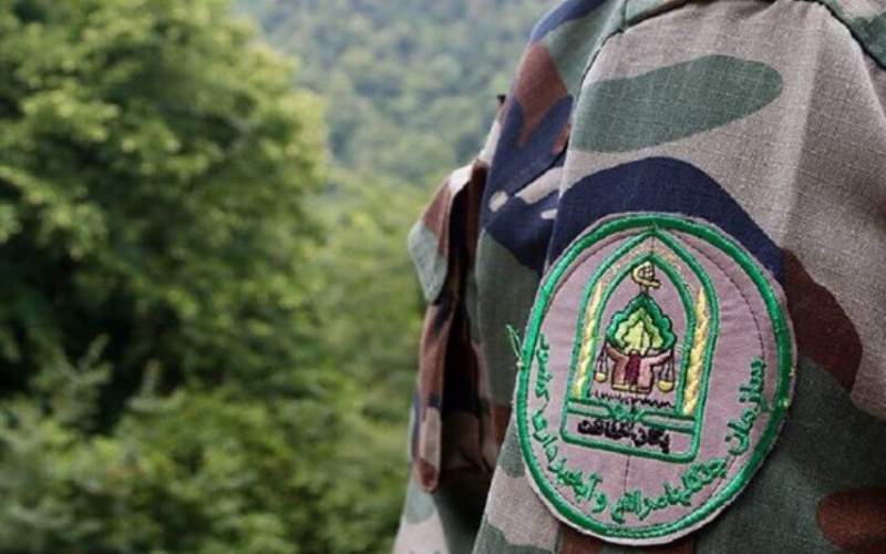 جنگلبانان؛ حافظان بیادعای منابع طبیعی شاهرود