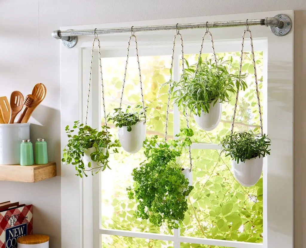 راهکار طبیعی برای مقابله با حشرات تابستانی