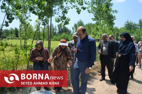 فرماندار لاهیجان: توسعه مکانیزاسیون، ضامن پایداری تولید برنج و حمایت از کشاورزان است