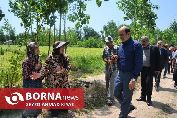 فرماندار لاهیجان: توسعه مکانیزاسیون، ضامن پایداری تولید برنج و حمایت از کشاورزان است