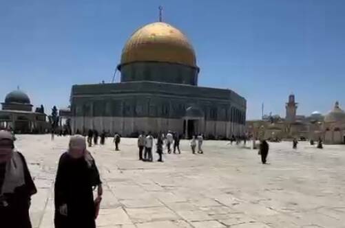 حضور نمازگزاران فلسطینی در صحنهای مسجدالاقصی؛ وضعیت میدانی