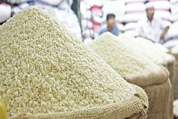 قیمت برنج پاکستانی؛ نرخ ۱۰ کیلویی برندهای مطرح به ۴ میلیون رسید