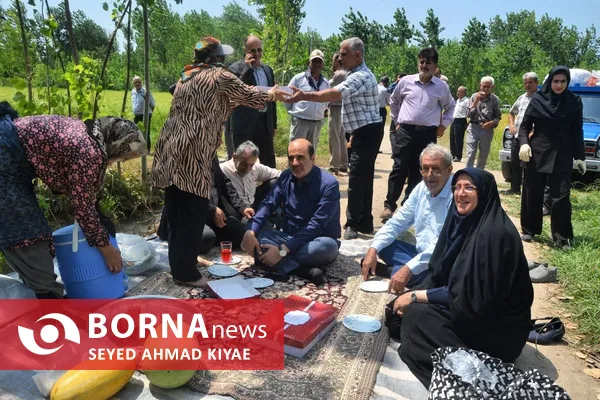فرماندار لاهیجان: توسعه مکانیزاسیون، ضامن پایداری تولید برنج و حمایت از کشاورزان است