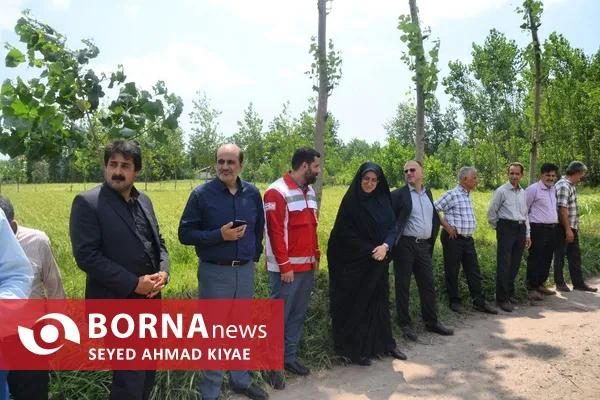 فرماندار لاهیجان: توسعه مکانیزاسیون، ضامن پایداری تولید برنج و حمایت از کشاورزان است