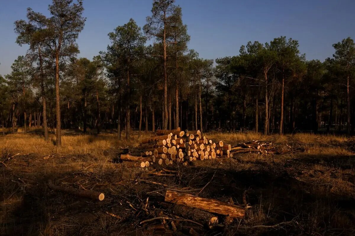 علت خشکیدگی بوستانهای چیتگر و سرخه حصار چیست؟