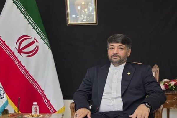 نقش ایران در شکلدهی به ادبیات حقوقی بریکس پلاس در مجمع دهلینو