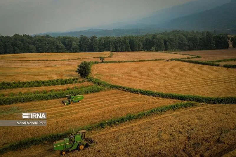 تخصیص ۶۰ هزار هکتار زمین برای نیروگاههای تجدیدپذیر در سال ۱۴۰۳