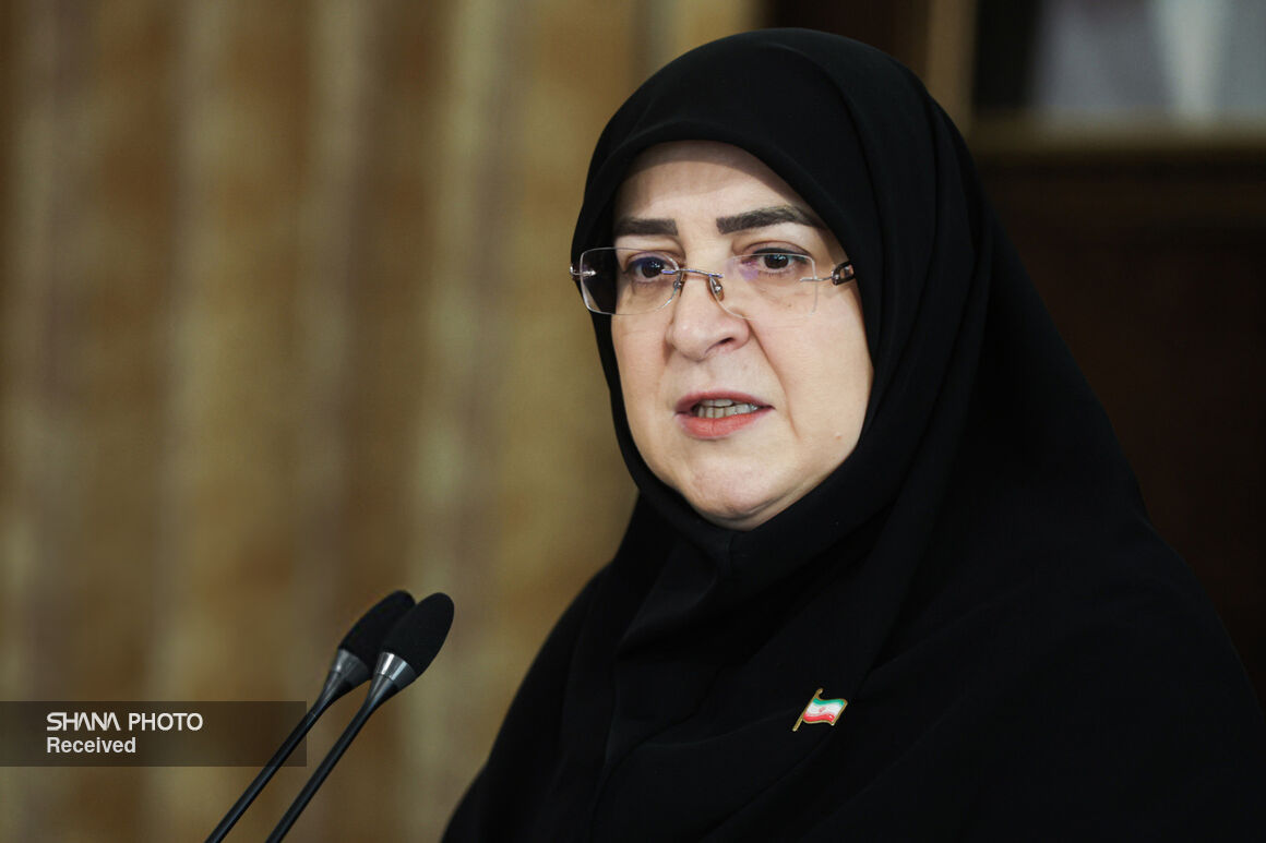 تأکید سخنگوی دولت بر ضرورت مدیریت مصرف انرژی و تبدیل آن به فرهنگ عمومی