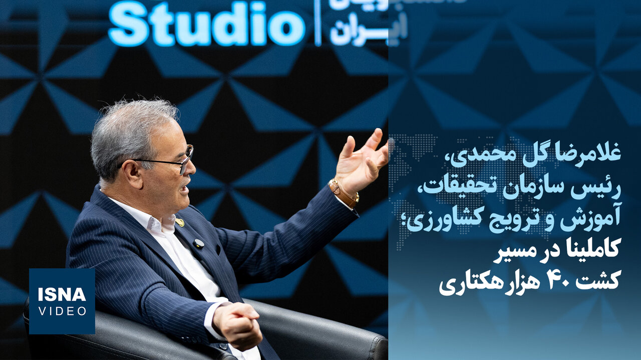 برنج ۱۲ تنی و کشت گسترده کاملینا؛ استراتژی جدید برای خودکفایی کشاورزی