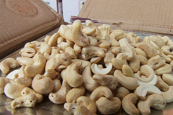 تحمل بیشتر به بادام زمینی پس از پیوند مدفوع