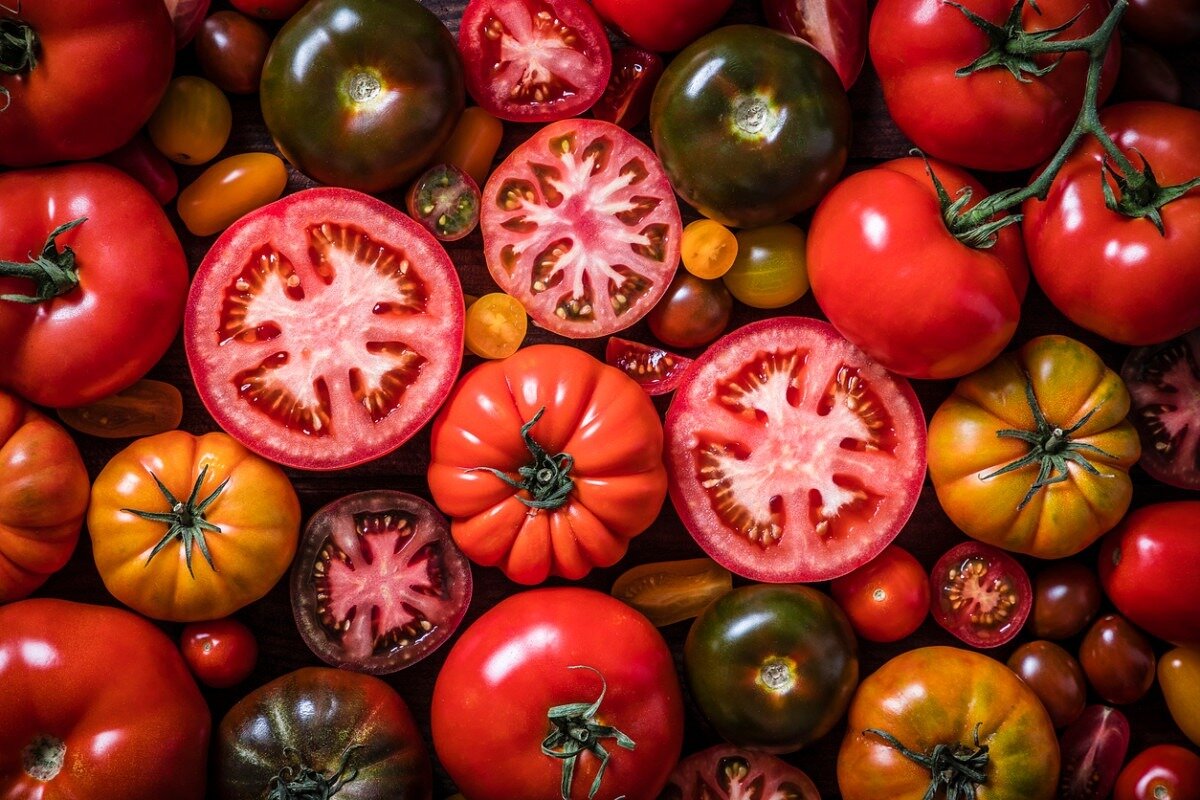 عوارض مصرف گوجهفرنگی برای برخی افراد؛ چه کسانی باید احتیاط کنند؟