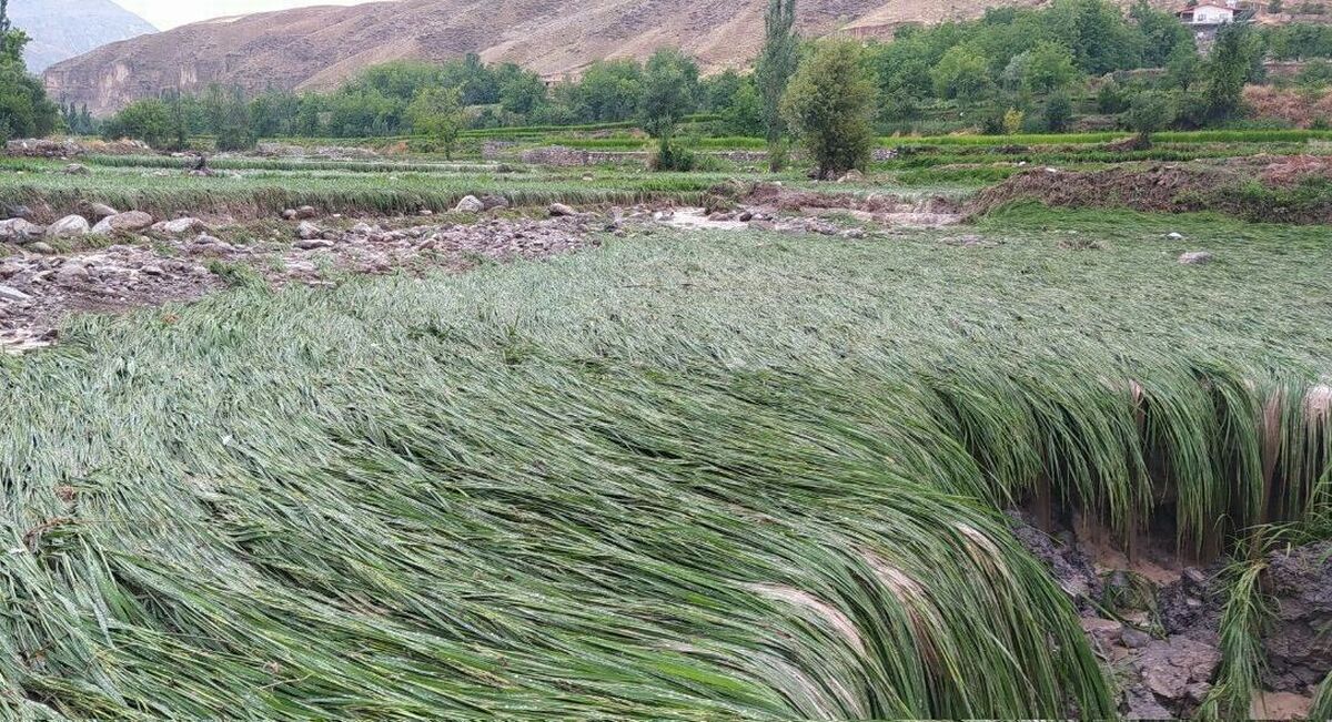 خسارت ناشی از سیل در مناطق روستایی کلات و درگز خراسان رضوی