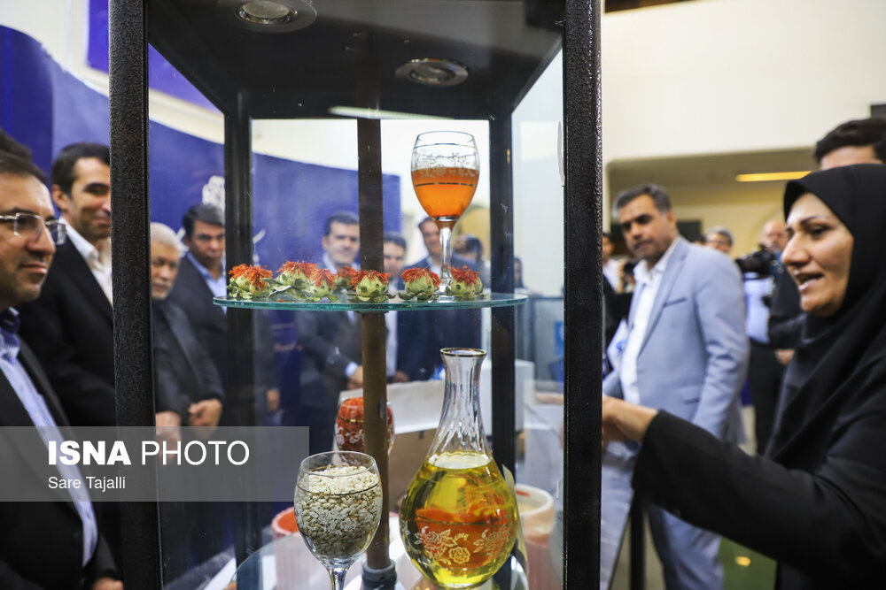 شکاف انسانی در اکوسیستم نوآوری؛ چرا استارتآپهای دانشبنیان شکست میخورند؟