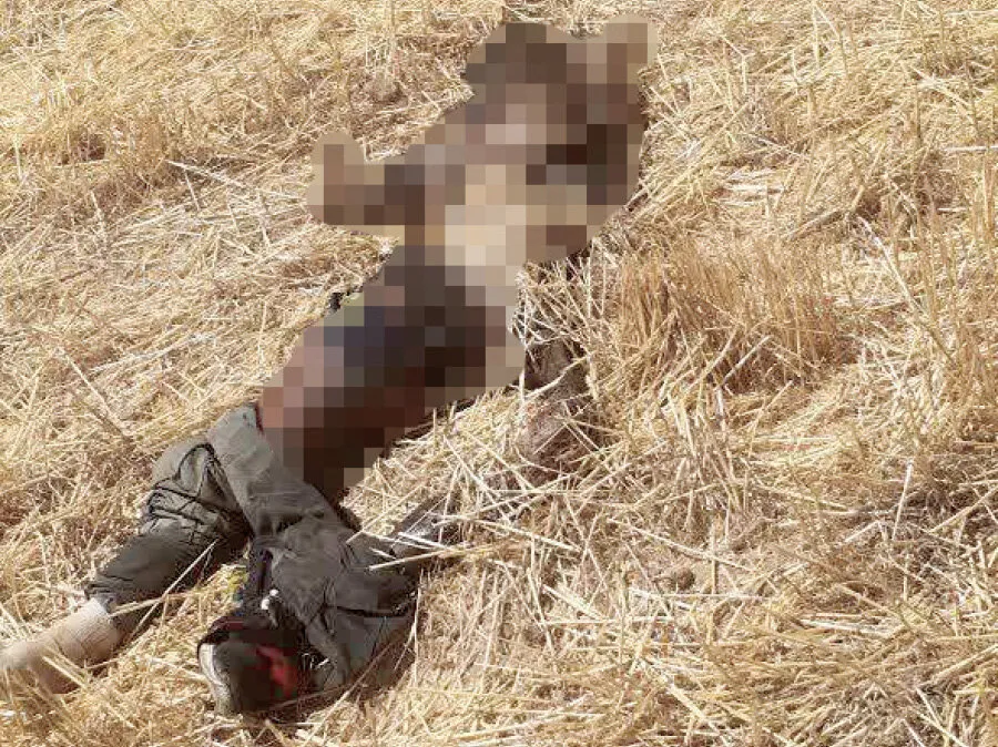 کشف جسد مرد ناشناس در مزارع گندم چناران؛ تحقیقات پلیس آغاز شد