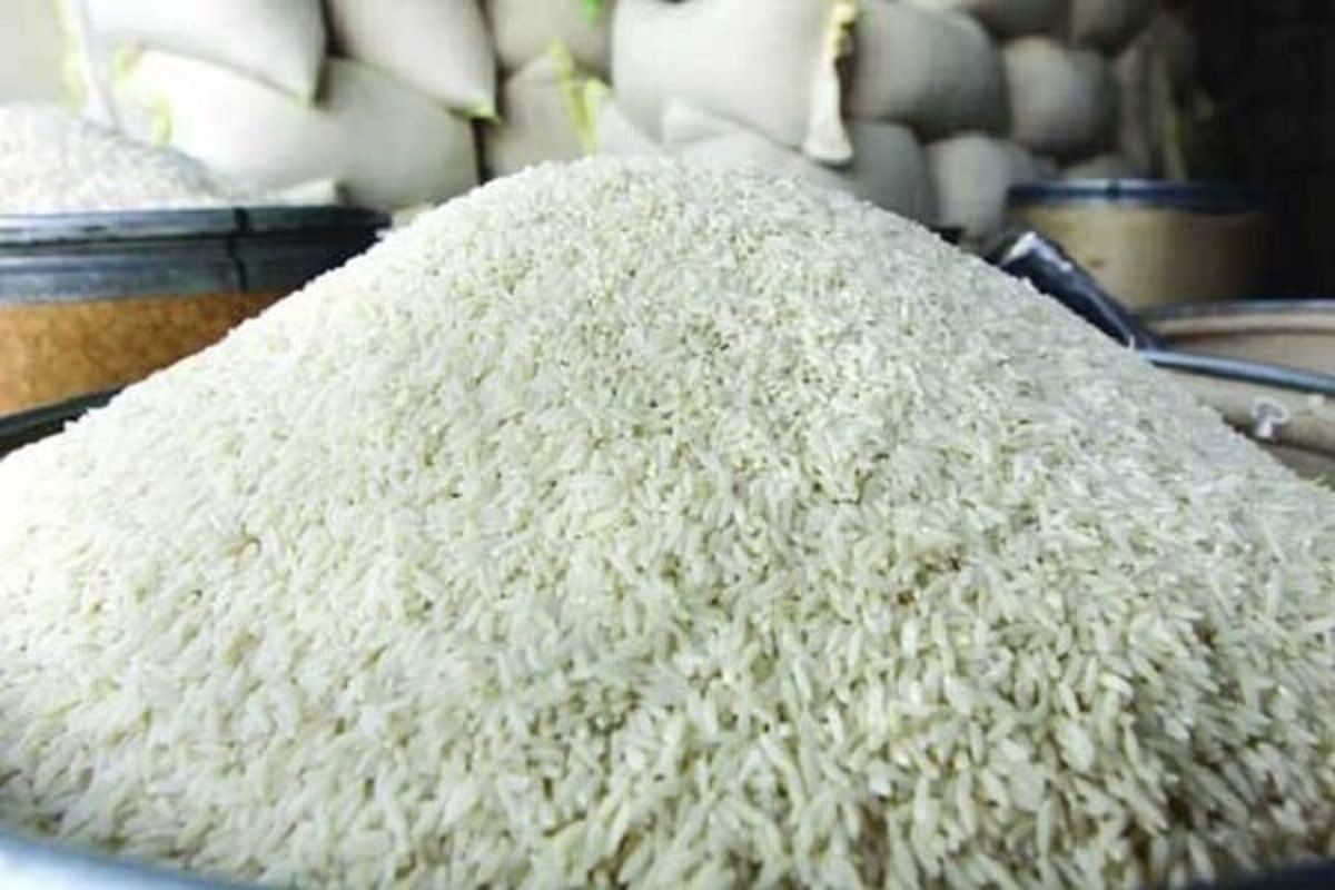 بررسی قیمت برنج در ۱۲ مرداد ۱۴۰۵؛ برنجهای ممتاز در صدر