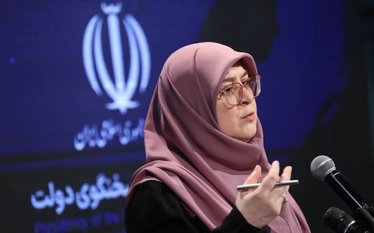 اعلام نظر سخنگوی دولت درباره بازگشت معین و ایرانیان خارج از کشور