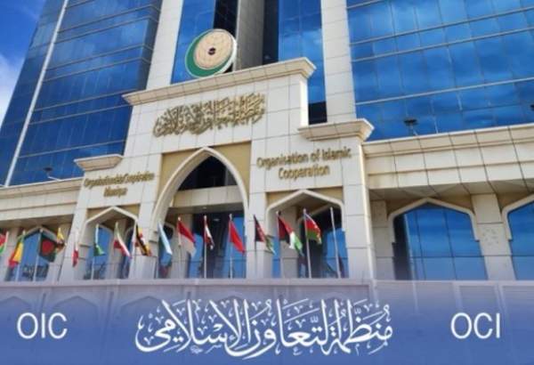 پنجم اوت؛ روز اسلامی حقوق بشر و کرامت انسانی و دعوت به گسترش همبستگی برای عدالت و صلح