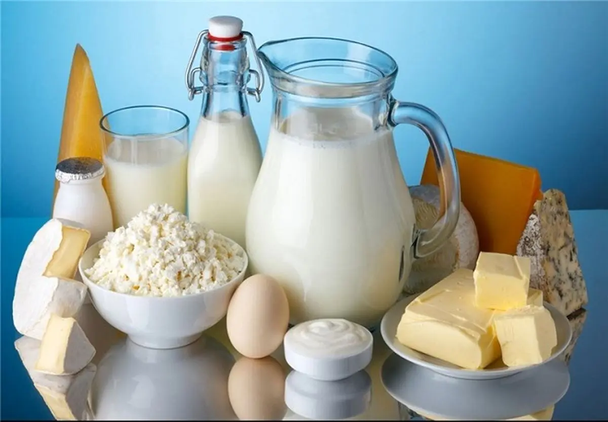 بهترین مواد غذایی برای تقویت باکتریهای مفید روده و سلامت گوارش