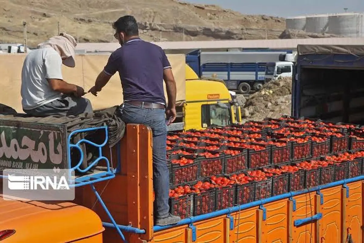هجوم مردم برای جمعآوری رب گوجهفرنگی پس از واژگونی کامیون در سبزوار