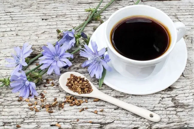 جایگزینهای سالم برای قهوه؛ از ریشه کاسنی تا ماتچا