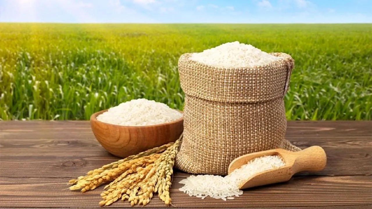 قیمت جدید برنج ایرانی +جزییات (بازنگری خبر)