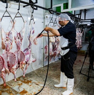 آغاز ثبت سفارش واردات گوشت گرم و منجمد از فردا