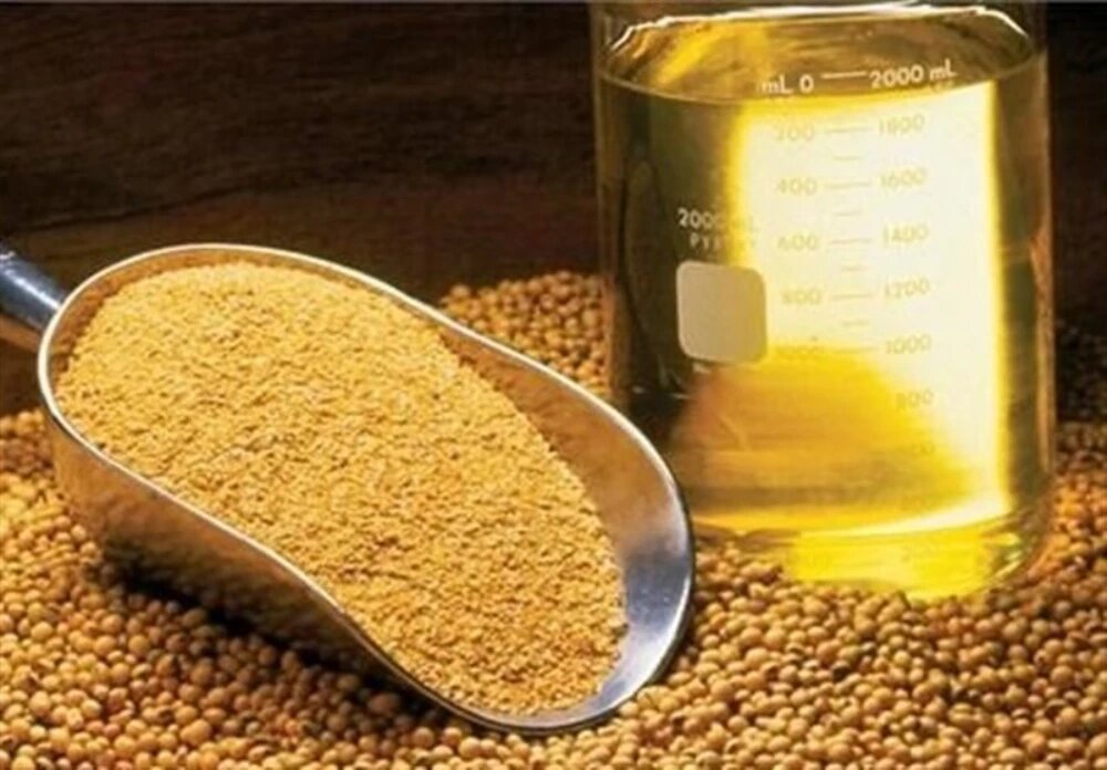 واردات روغن خام: آمار، تعرفهها و شرایط