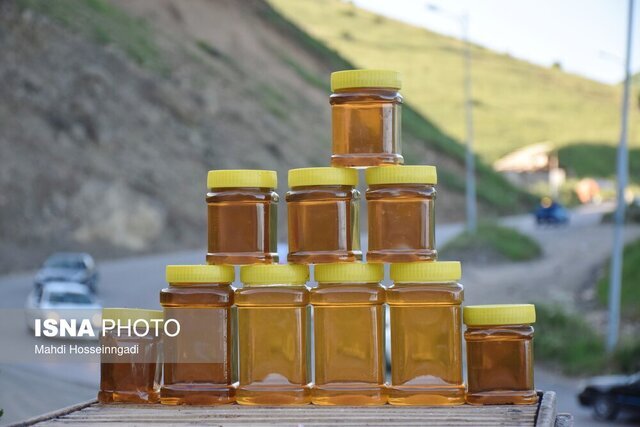 فعالیت 4000 زنبورستان در گیلان/ افزایش تولید فرآوردههای کندو