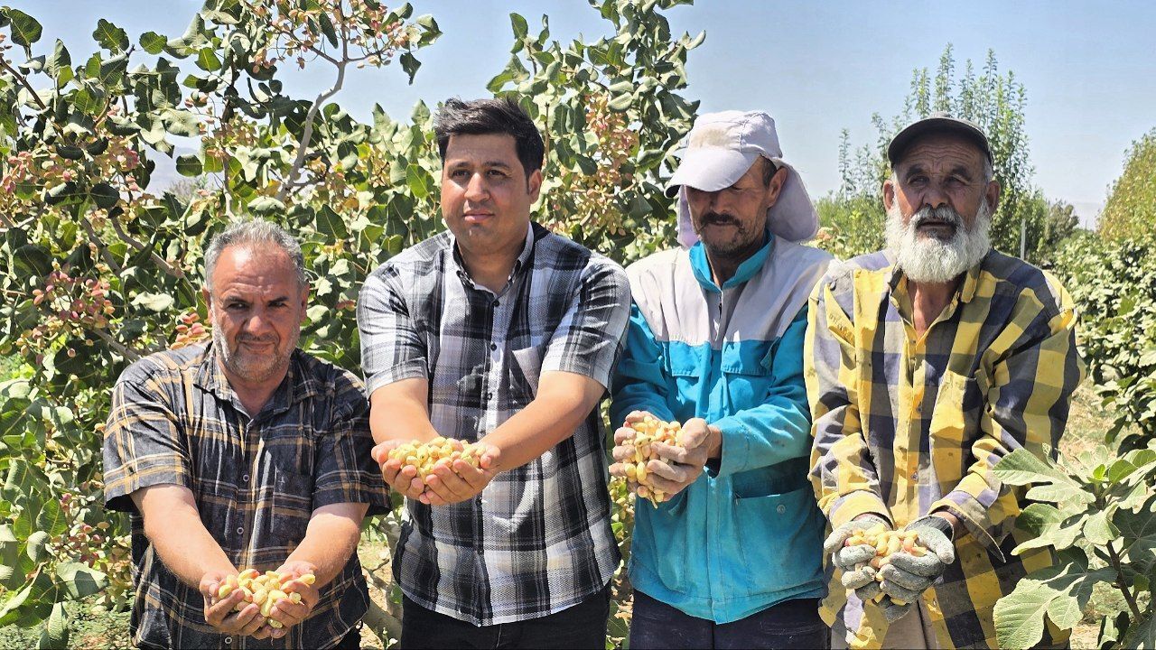 ضرورت ایجاد پایانه صادراتی برای محصولات کشاورزی در روستای الوسجرد ساوه