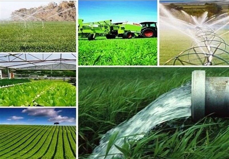 سهم بالای بخش خصوصی در توسعه کشاورزی بوشهر
