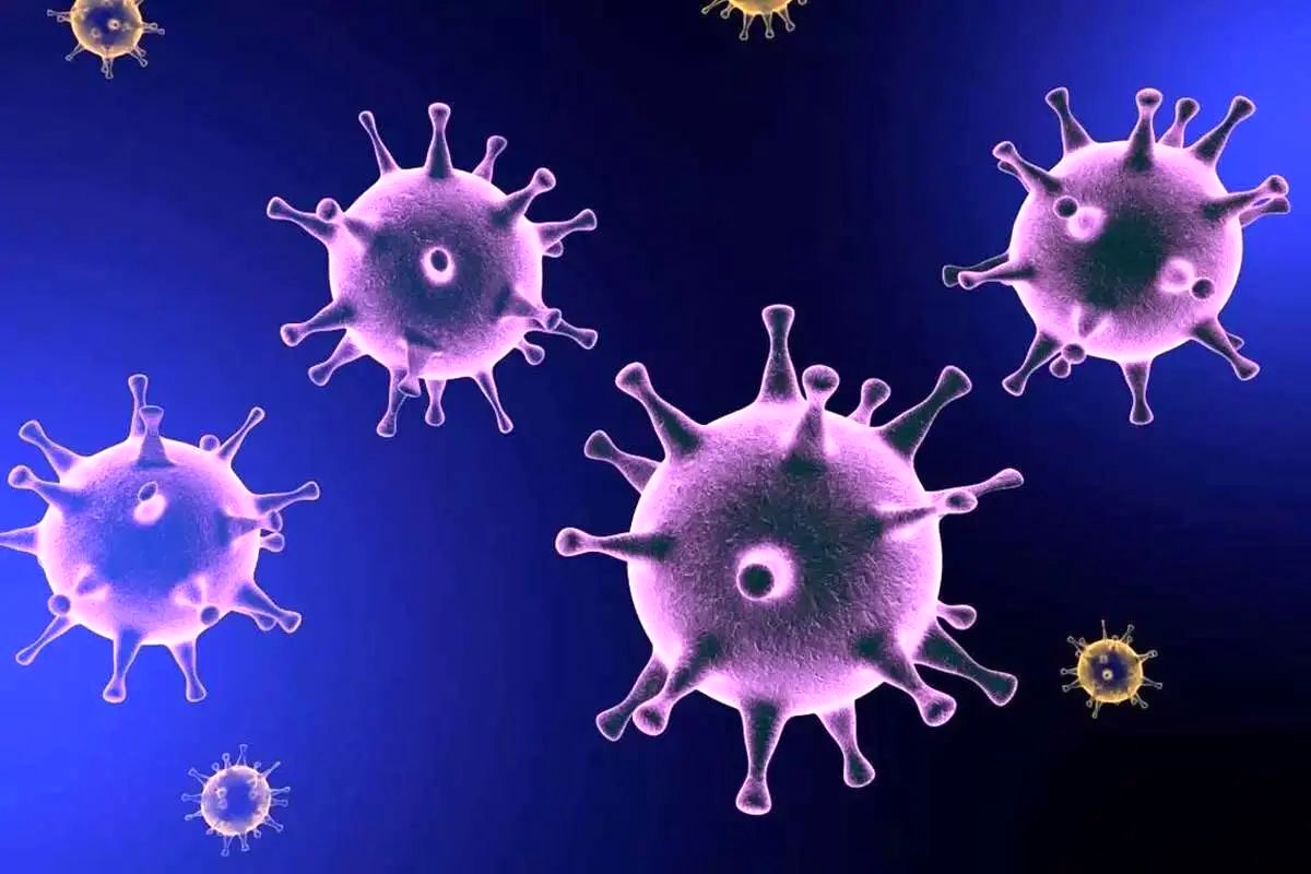 افزایش بیماری‌های عفونی پس از تجمعات و بازگشت زائران
