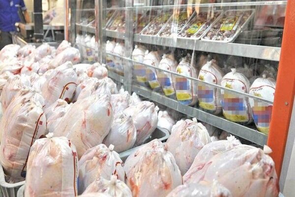 تکذیب توزیع مرغ فاسد در مازندران؛ نظارت سختگیرانه بر زنجیره منجمدات