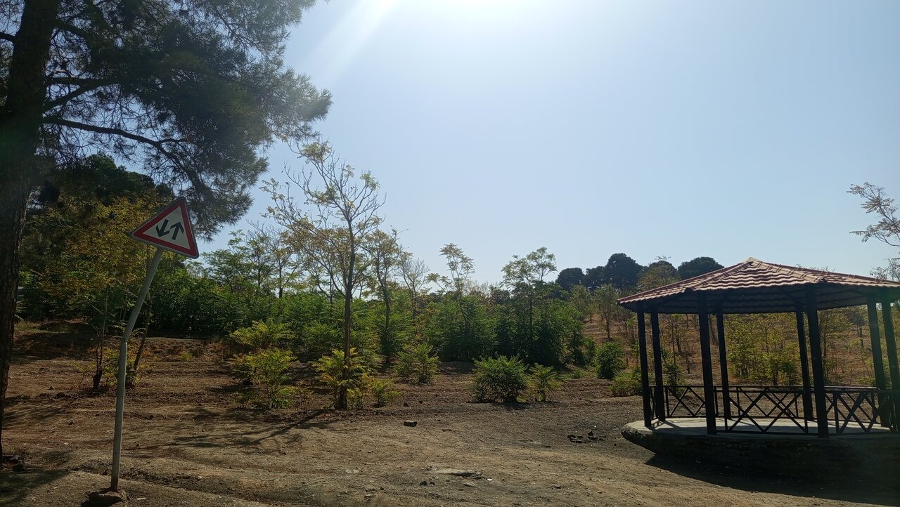 قطع دهها هزار قطعه درخت آلوده در پارک جنگلی چیتگر