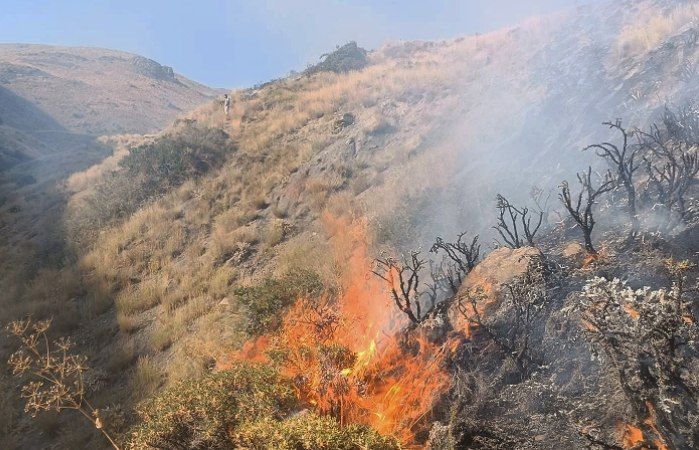 آلودگیهای ناشی از آتشسوزی زاگرس تا 30 سال باقی میمانند