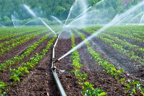 41 هزار هکتار از اراضی خراسانشمالی به سامانههای نوین آبیاری مجهز شد