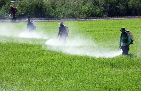 قرار گرفتن در معرض آفتکشها خطر ALS را تا 70 درصد افزایش میدهد