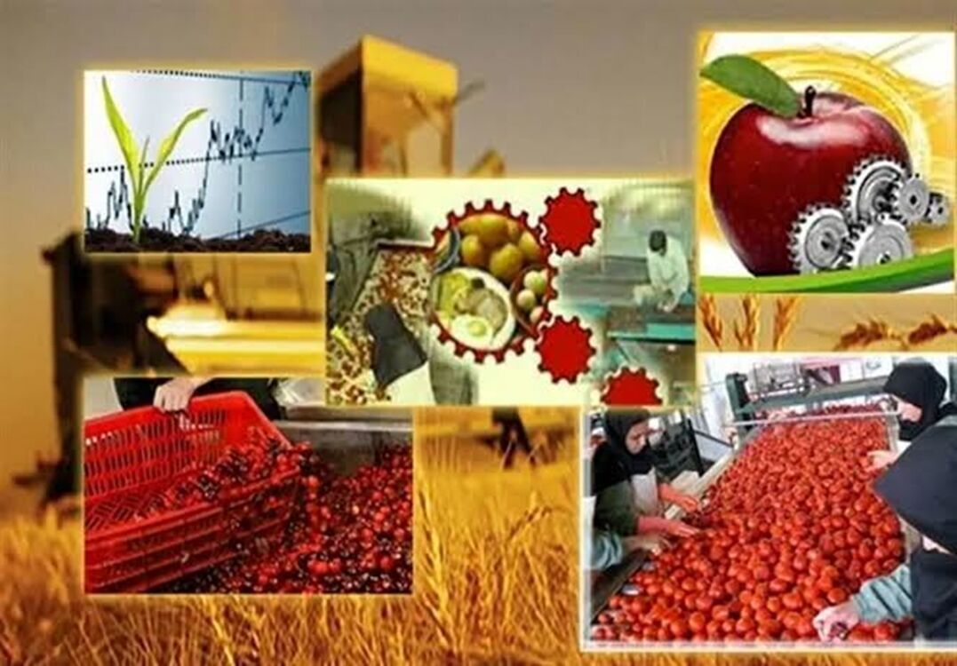 افتتاح 199 پروژه صنایع تبدیلی و غذایی در هفته دولت