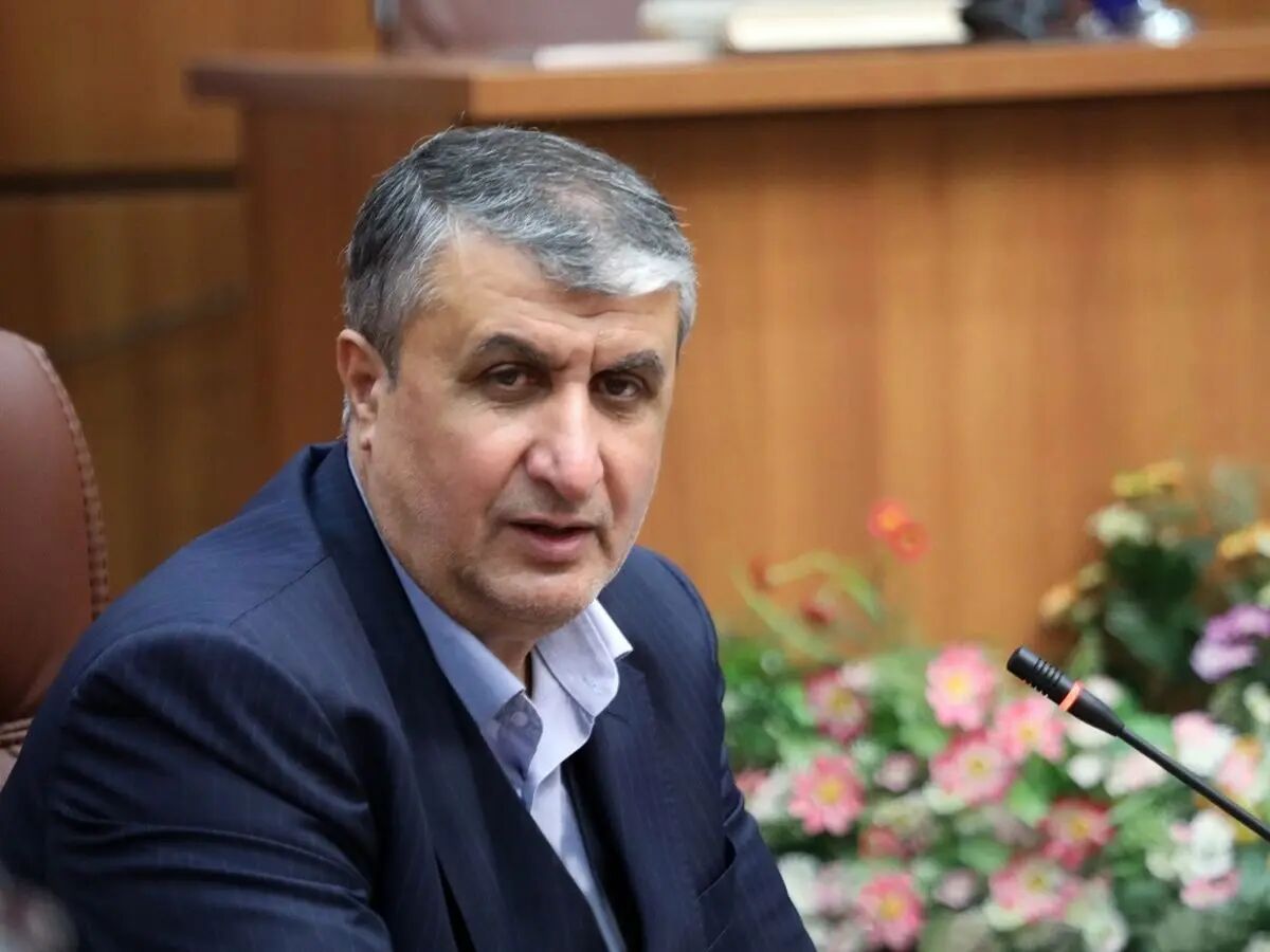 محمد اسلامی: صنعت هستهای ایران همگام با کشورهای پیشرو است