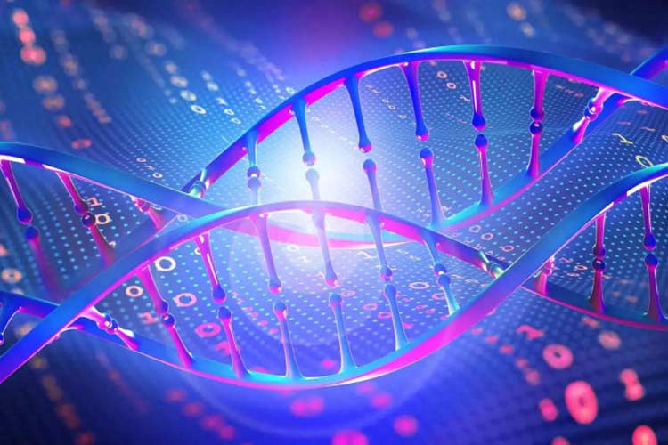 دانشمندان حافظه الکترونیکی مبتنی بر DNA ساختند؛ مصرف انرژی 100 برابر کمتر