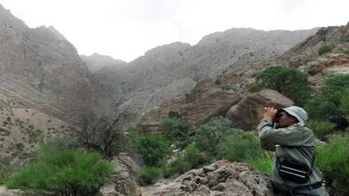 بحران نیروی انسانی در حفاظت از منابع طبیعی بروجرد؛ ۸۸ هزار هکتار در خطر