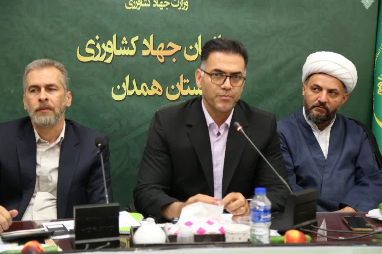 تولید مرغ در همدان افزایش یافت/ بیش از دو میلیون و چهارصد هزار قطعه جوجه ریزی شده