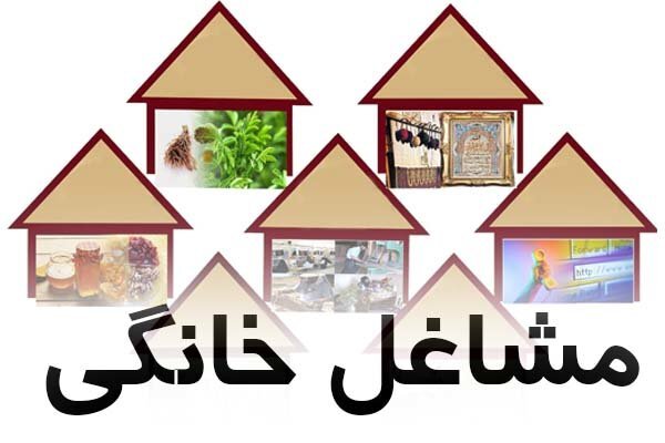 محبیزاده: 30 میلیارد تومان تسهیلات مشاغل خانگی در تنگستان پرداخت شد