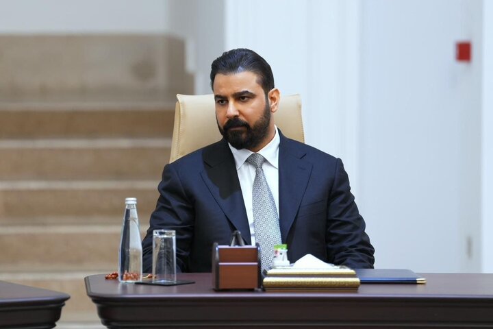 دیدار نخست‌وزیر عراق با رئیس مجلس شورای اسلامی