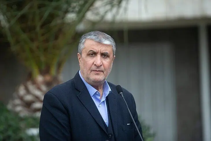معاون رییسجمهور و رئیس سازمان انرژی اتمی: تفاهمنامه با دانشگاه علوم پزشکی ایران برای تحقیقات هستهای در خدمت نظام سلامت