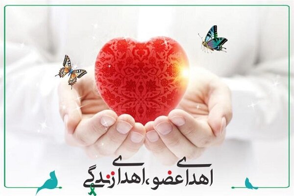 اهدای اعضای مهرشاد مرزبان؛ بخشندگی در اوج غم