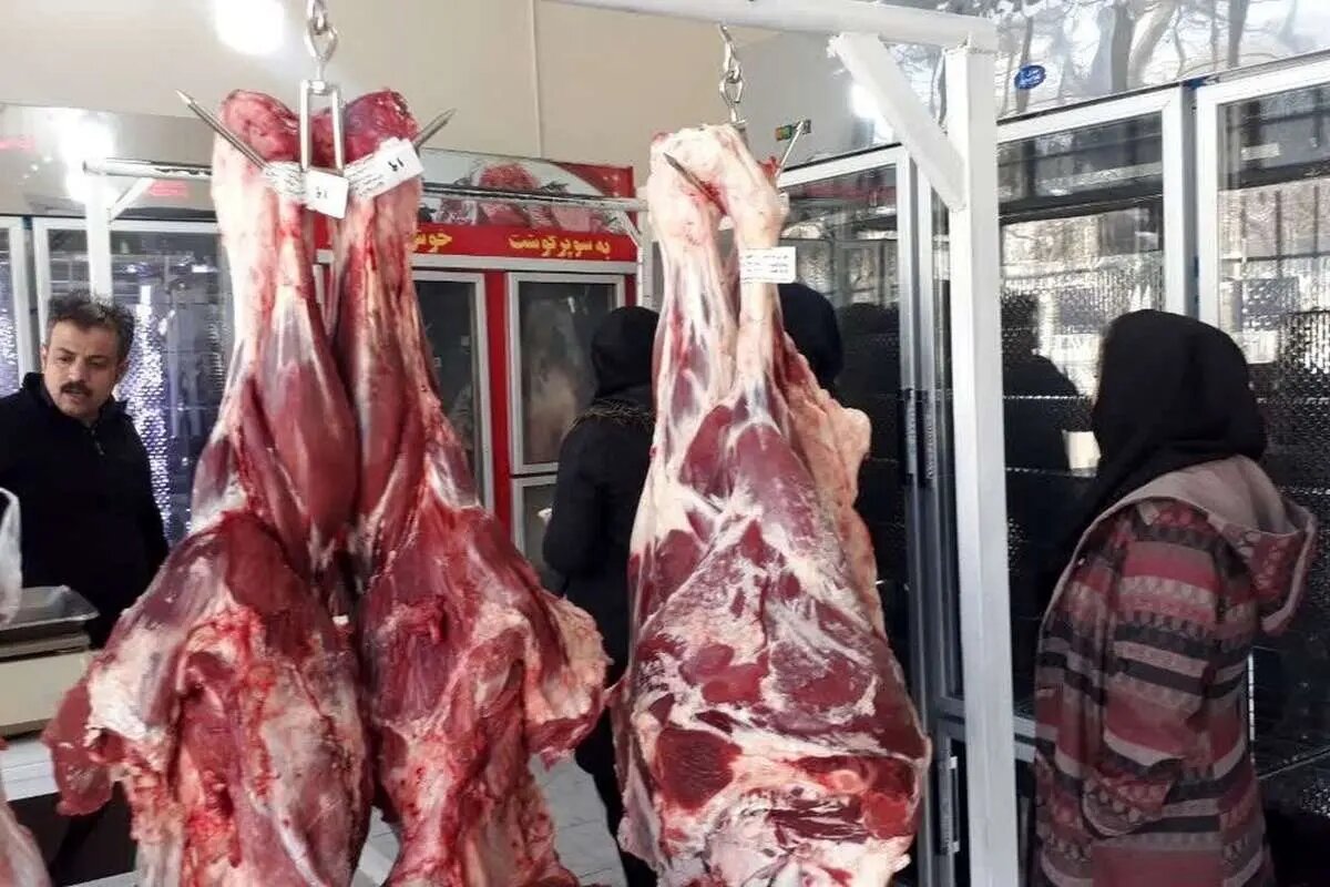 ثبات قیمت گوشت قرمز در بازار؛ وضعیت عرضه در ۸ شهریور ۱۴۰۵